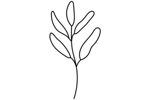 Simplistic Line Drawing of a Plant