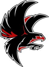 Stylized Black and Red Eagle Logo