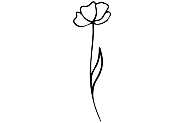 A Single Flower in a White Background