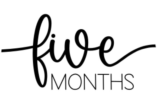 Five Months: A Visual Timeline