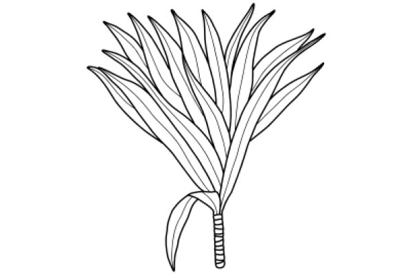 Stylized Line Drawing of a Plant