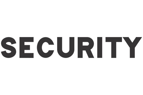 Security: A Key Concept in the Digital Age