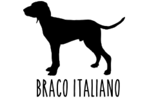 Braco Italiano: A Silhouette of a Majestic Dog Breed