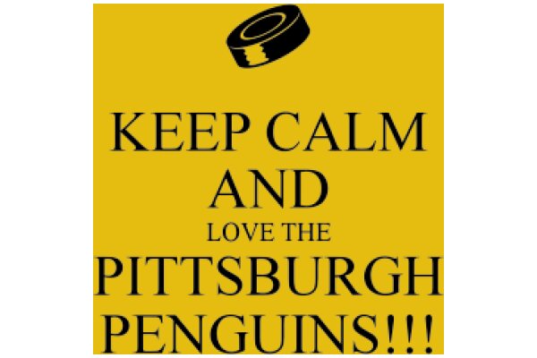 Pittsburgh Penguins: Keep Calm and Love the Team!