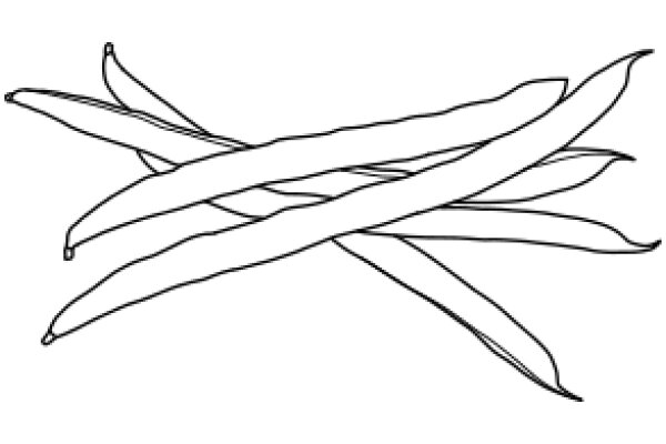 Artistic Line Drawing of Snap Peas