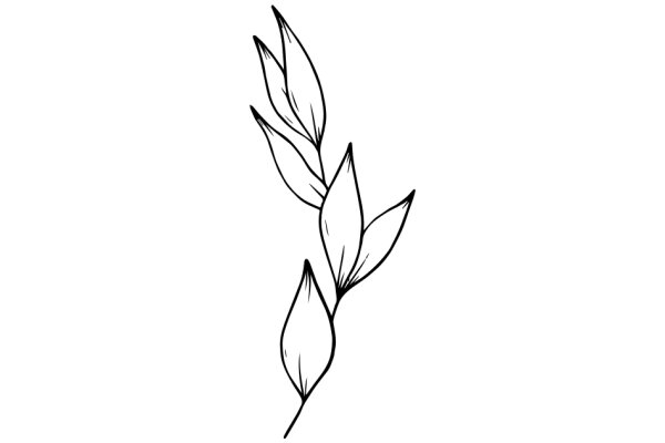 Simplistic Line Drawing of a Plant