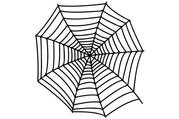 Spiderweb Illustration