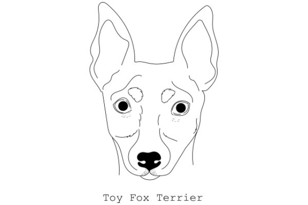 A Whimsical Portrait of Toy Fox Terrier