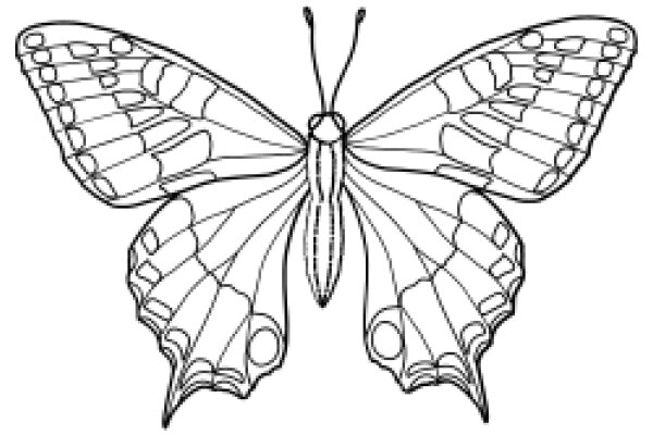 Stylized Butterfly Line Art