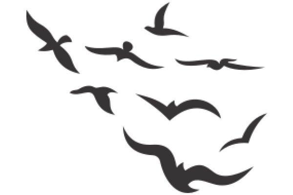 Flight of the Silhouette Birds