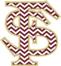 Stylish Letter 'S' with a Chevron Pattern