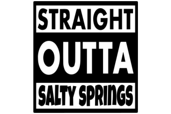 Straight Outta Salt Springs: A Journey Through the Heart of the American Southwest