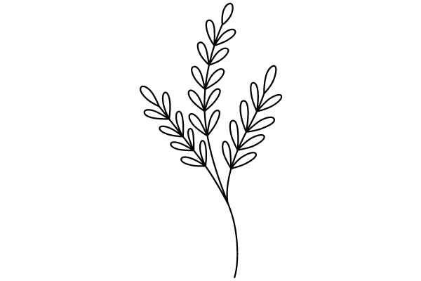 Simplistic Line Drawing of a Plant