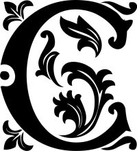 Stylized Letter 'C' with Intricate Design and Floral Accents