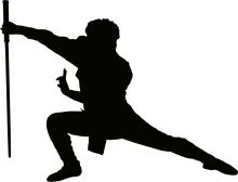 Silhouette of a Martial Artist in Action