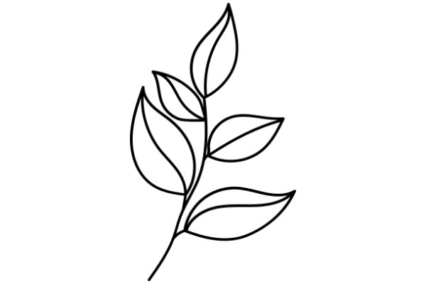 Simplistic Line Drawing of a Flower