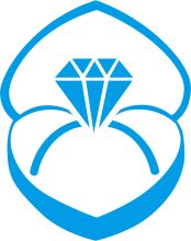 A Blue Diamond Logo with a Ring Design