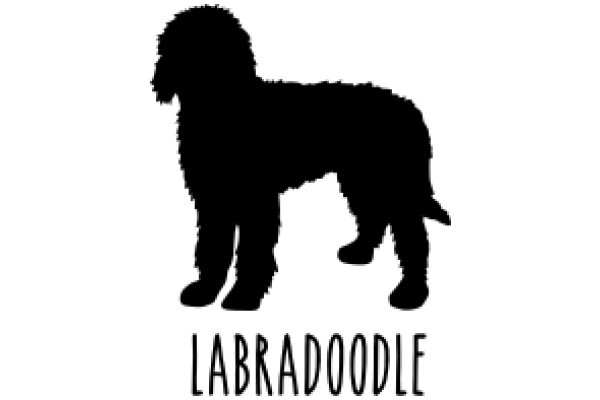 Labradoodle: A Silhouette of a Beloved Breed