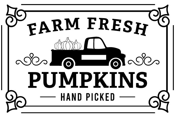 Farm Fresh Pumpkins: Handpicked and Delivered