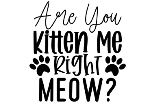 Are You Kitten Me Right Meow?