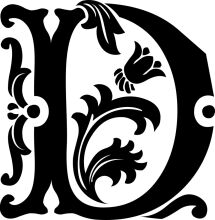 Stylized Letter 'D' with Floral Designs