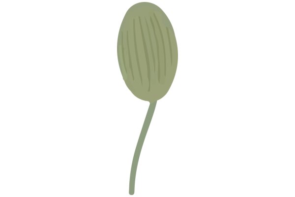 A Simple, Yet Detailed, Representation of a Plant