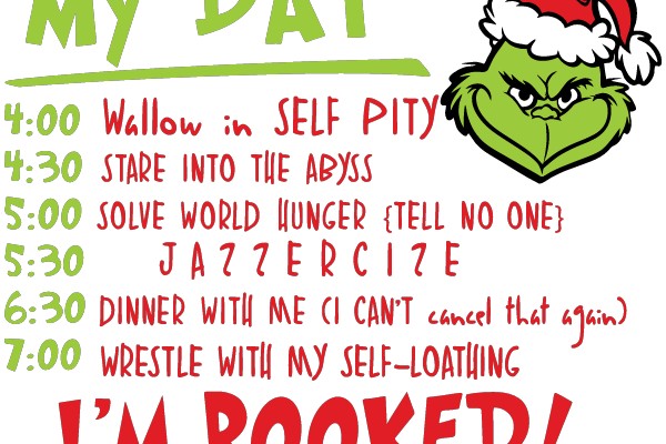 My Day: A Festive Schedule with a Grumpy Santa Hat