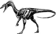 A Classic Black and White Illustration of a Velociraptor