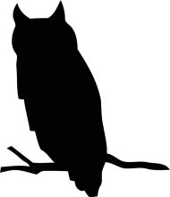 Silhouette of an Owl: A Symbol of Wisdom and Protection