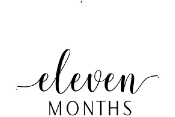 Eleven Months: A Journey Through the Year