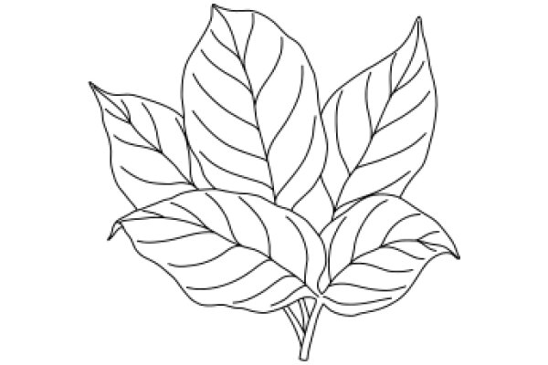 Simplistic Line Drawing of a Leafy Plant