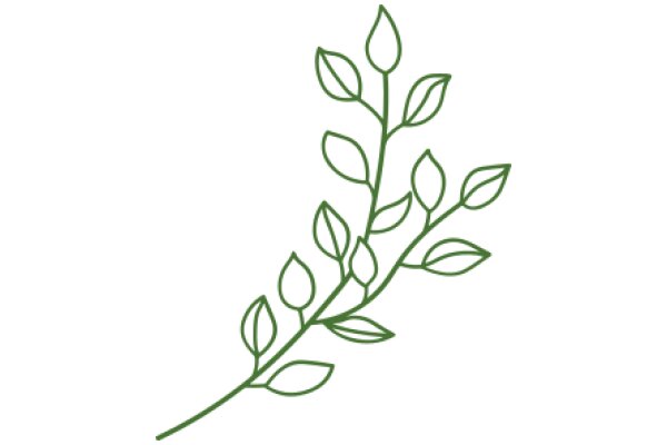 Simplistic Green Line Drawing of a Plant