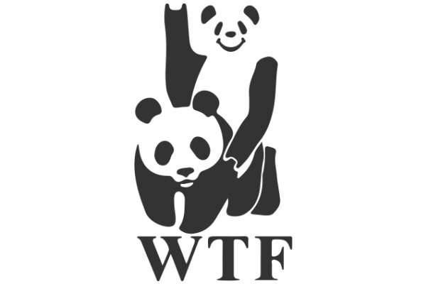 WTF: A Playful Panda Design