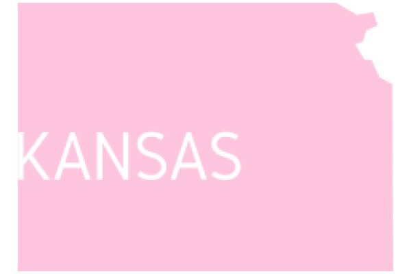 A Simple Pink Background with the Word 'Kansas' in White Text