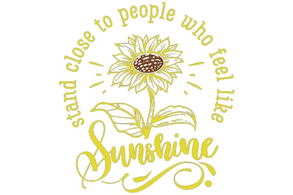 Sunshine: A Symbol of Happiness and Positivity