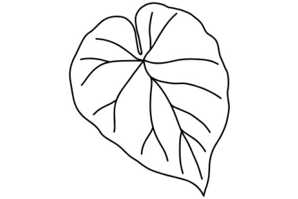 Simplicity in Art: A Line Drawing of a Leaf