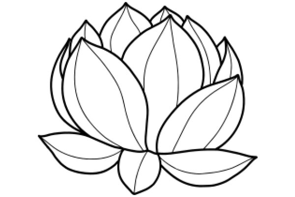 Stylized Lotus Flower Illustration