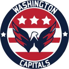 Washington Capitals: A Symbol of Pride and Victory