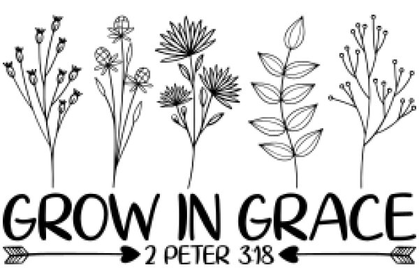 Grow in Grace: A 2 Peter 3:18 Devotional