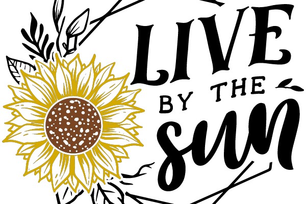 Embrace the Sun: A Symbol of Life and Energy