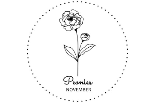 November's Peonies: A Floral Celebration of the Month