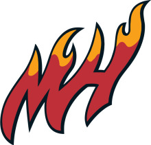 Vibrant Flames Logo: A Symbol of Passion and Energy