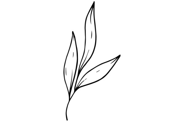 Stylized Line Drawing of a Flower with Leaves