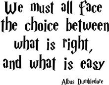 Albus Dumbledore's Wise Quote on Choices and Decisions