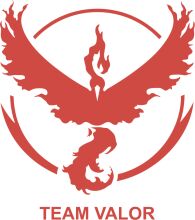 Team Valor: The Symbol of Strength and Unity