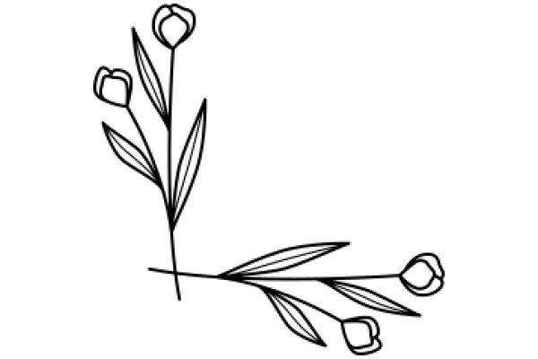 Line Drawing of a Flower