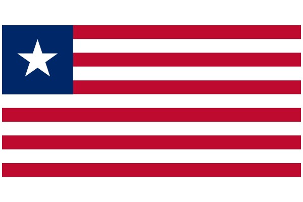 United States Flag with a Star at the Top