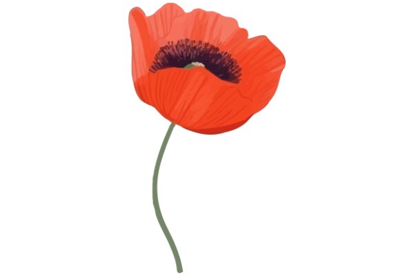 Vivid Red Poppy with Green Stem