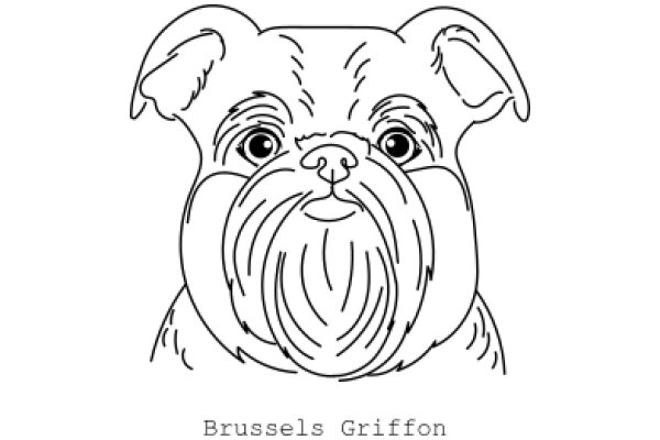 Brussels Griffon: A Line Drawing