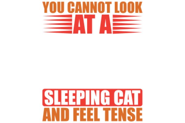 Sleeping Cat and Feel Tense: A Guide to Understanding Your Cat's Behavior